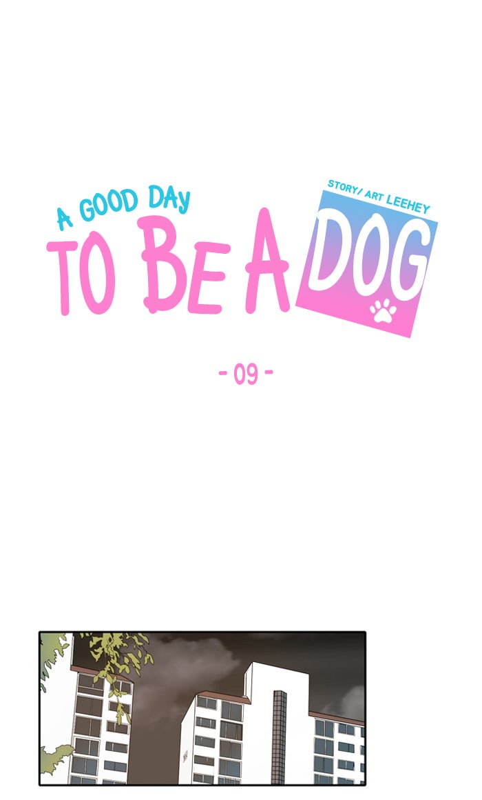 Read A Good Day to Be a Dog EN Manga Online