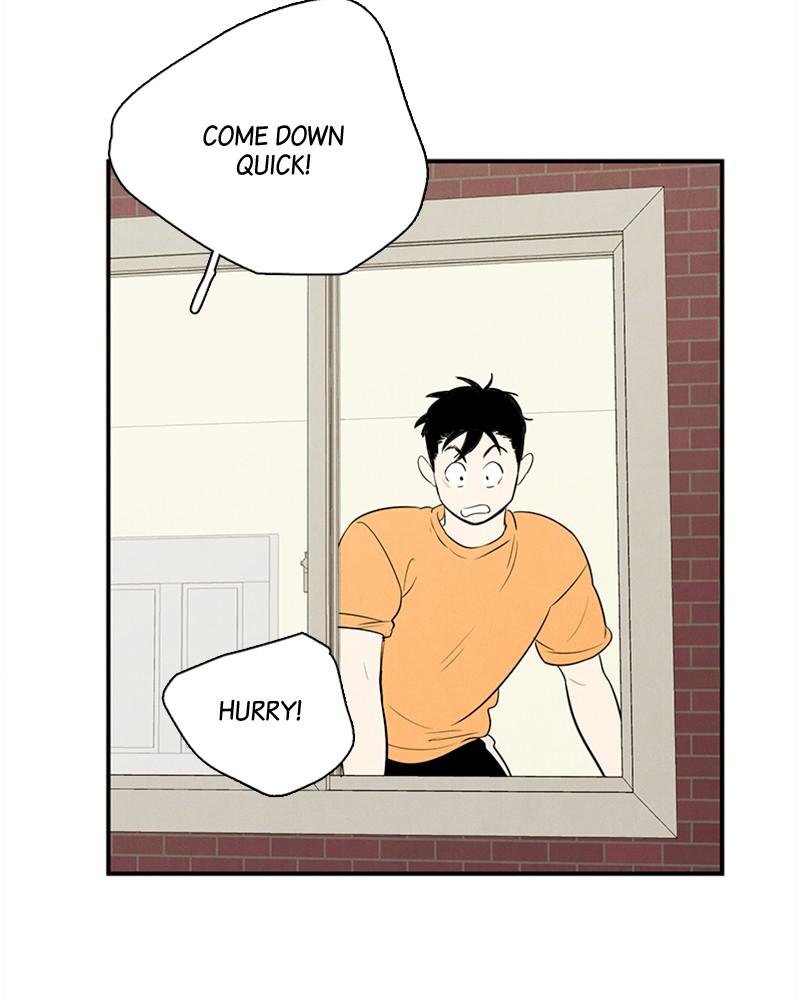 Read After School Lessons for Unripe Apples EN Manga Online