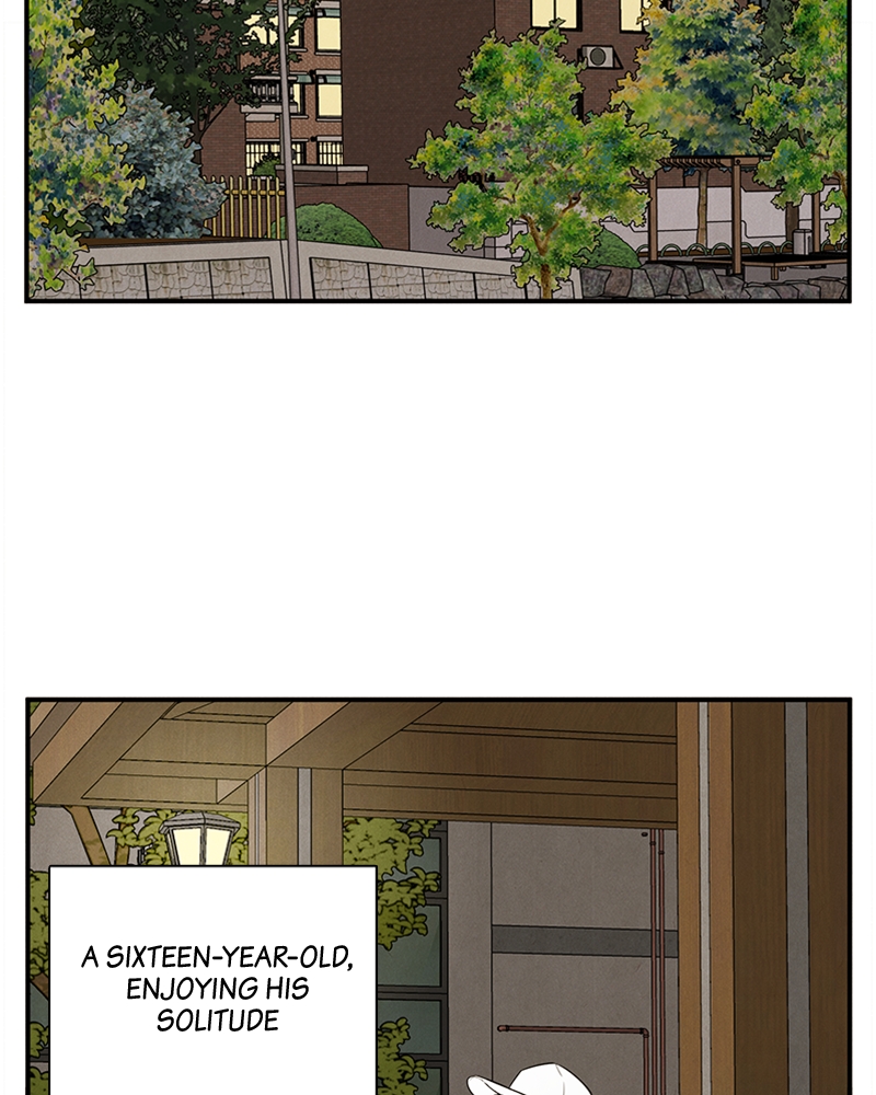 Read After School Lessons for Unripe Apples EN Manga Online