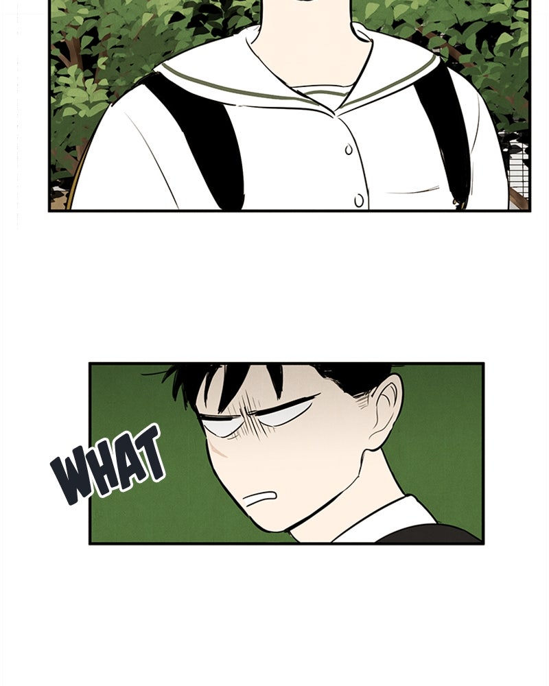 Read After School Lessons for Unripe Apples EN Manga Online