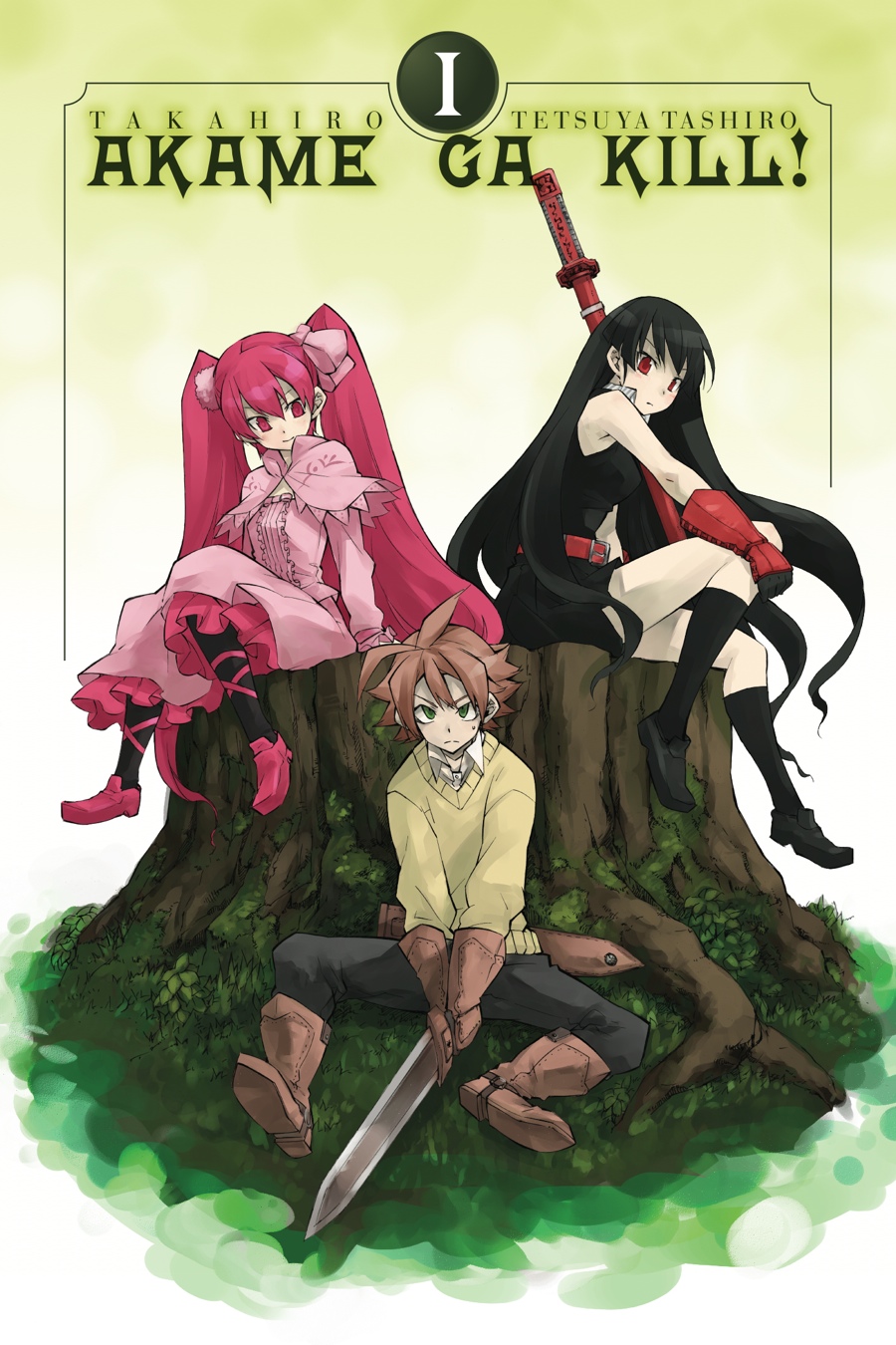 Read Akame ga Kill! EN Manga Online