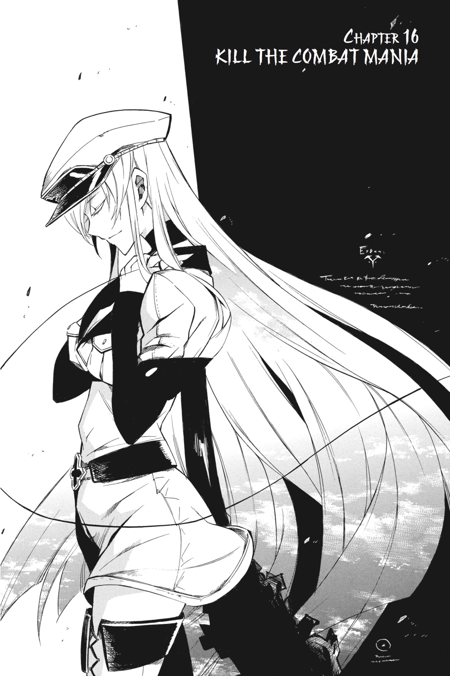 Read Akame ga Kill! EN Manga Online