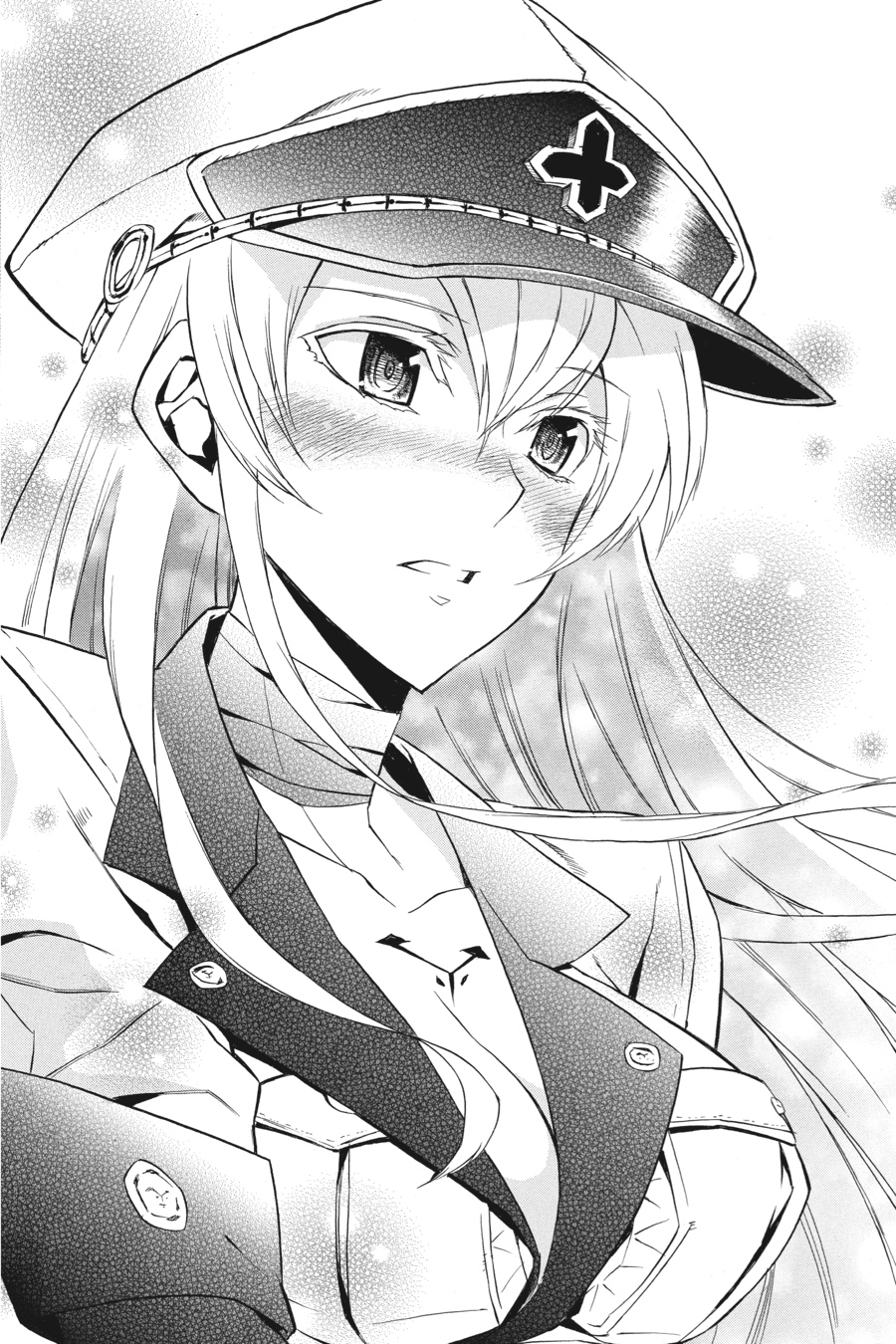 Read Akame ga Kill! EN Manga Online