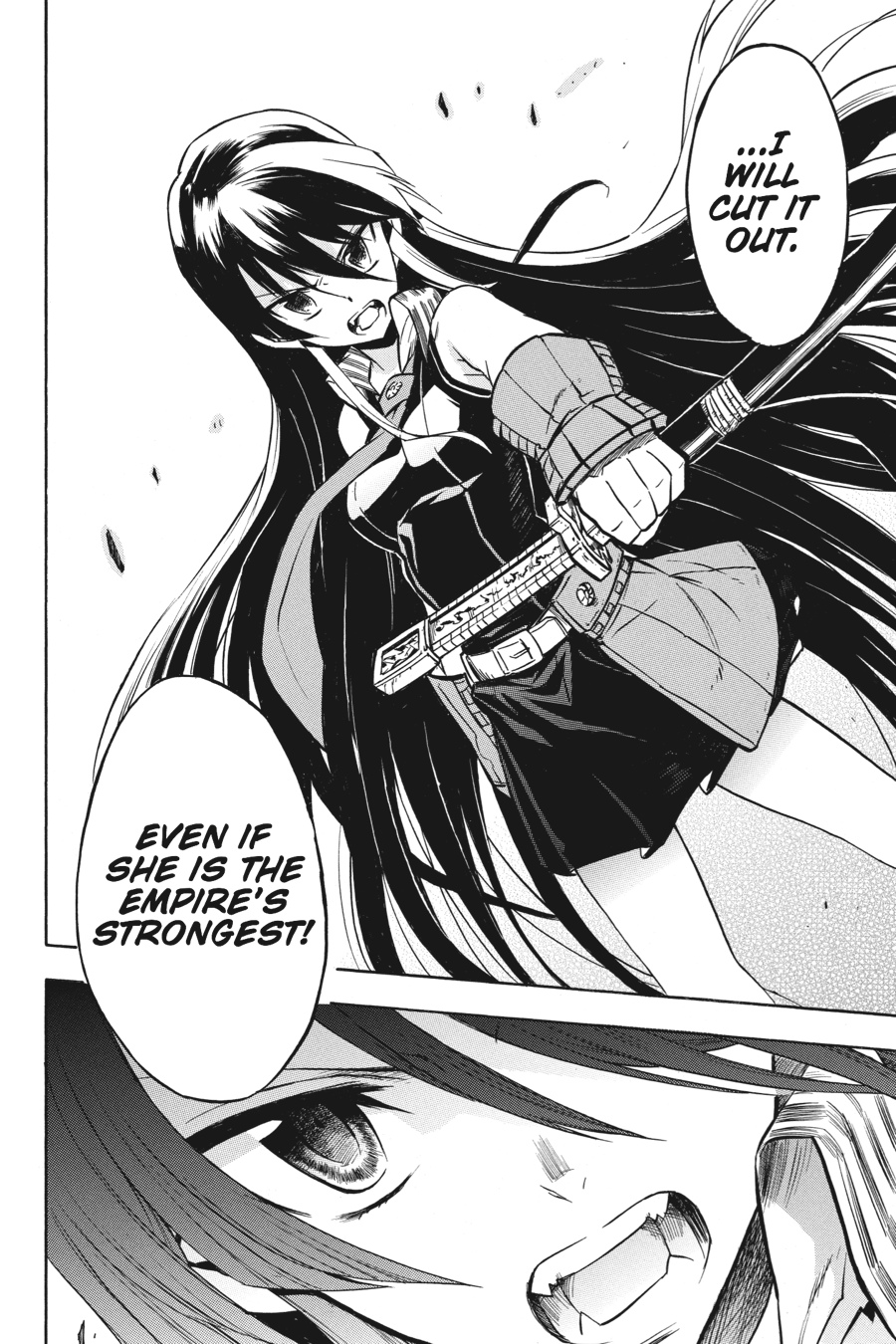 Read Akame ga Kill! EN Manga Online