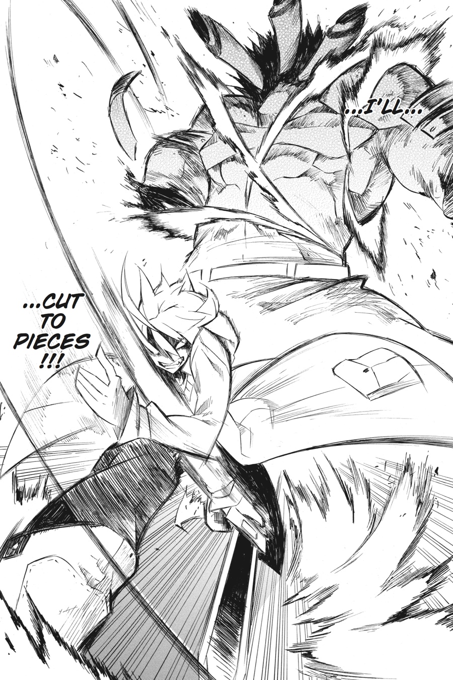 Read Akame ga Kill! EN Manga Online