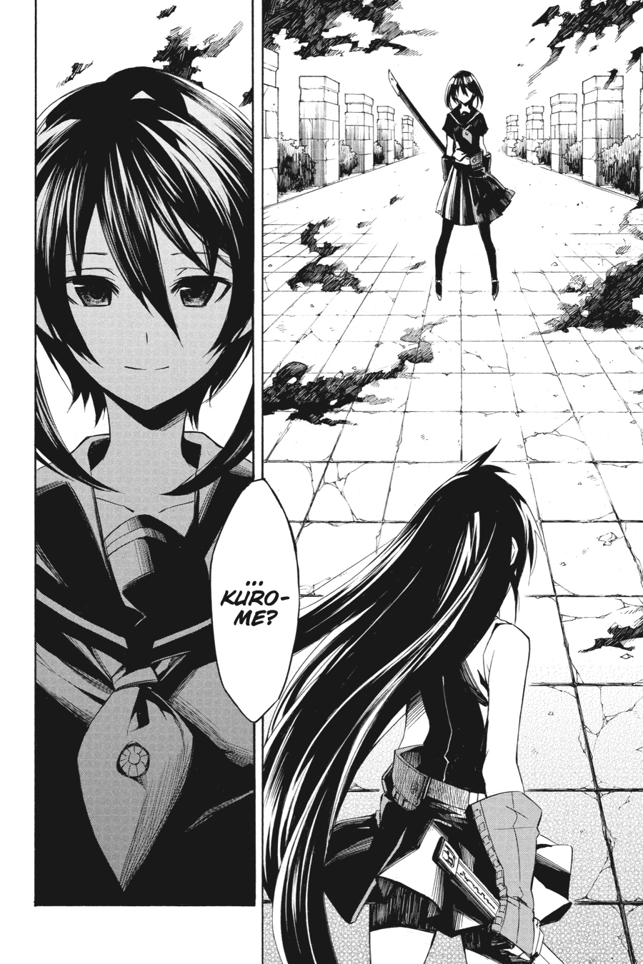 Read Akame ga Kill! EN Manga Online