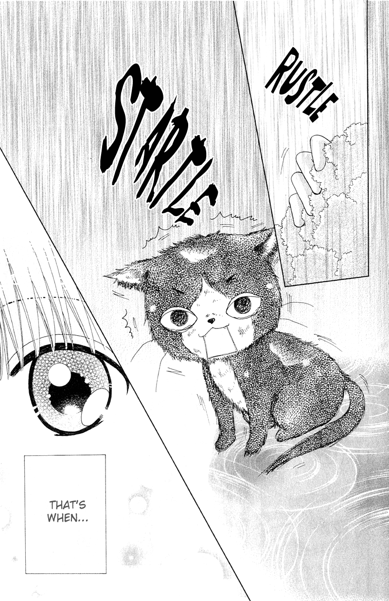 Read Beauty Pop EN Manga Online