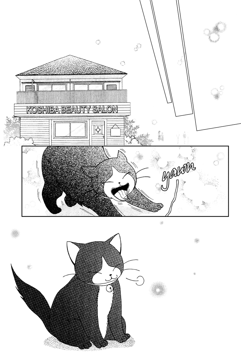 Read Beauty Pop EN Manga Online