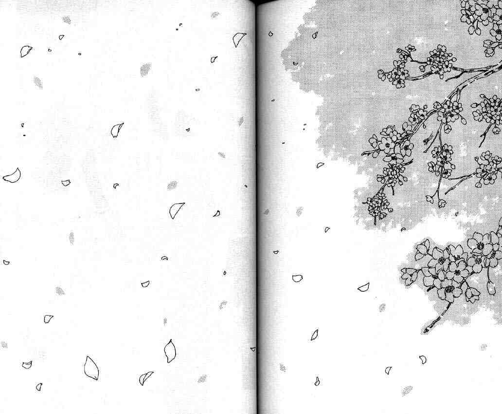 Read Cardcaptor Sakura EN Manga Online