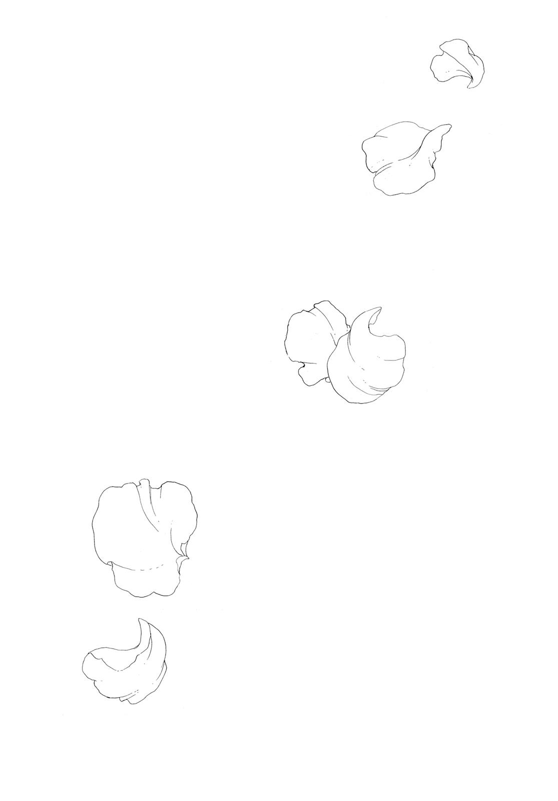 Read Cardcaptor Sakura EN Manga Online