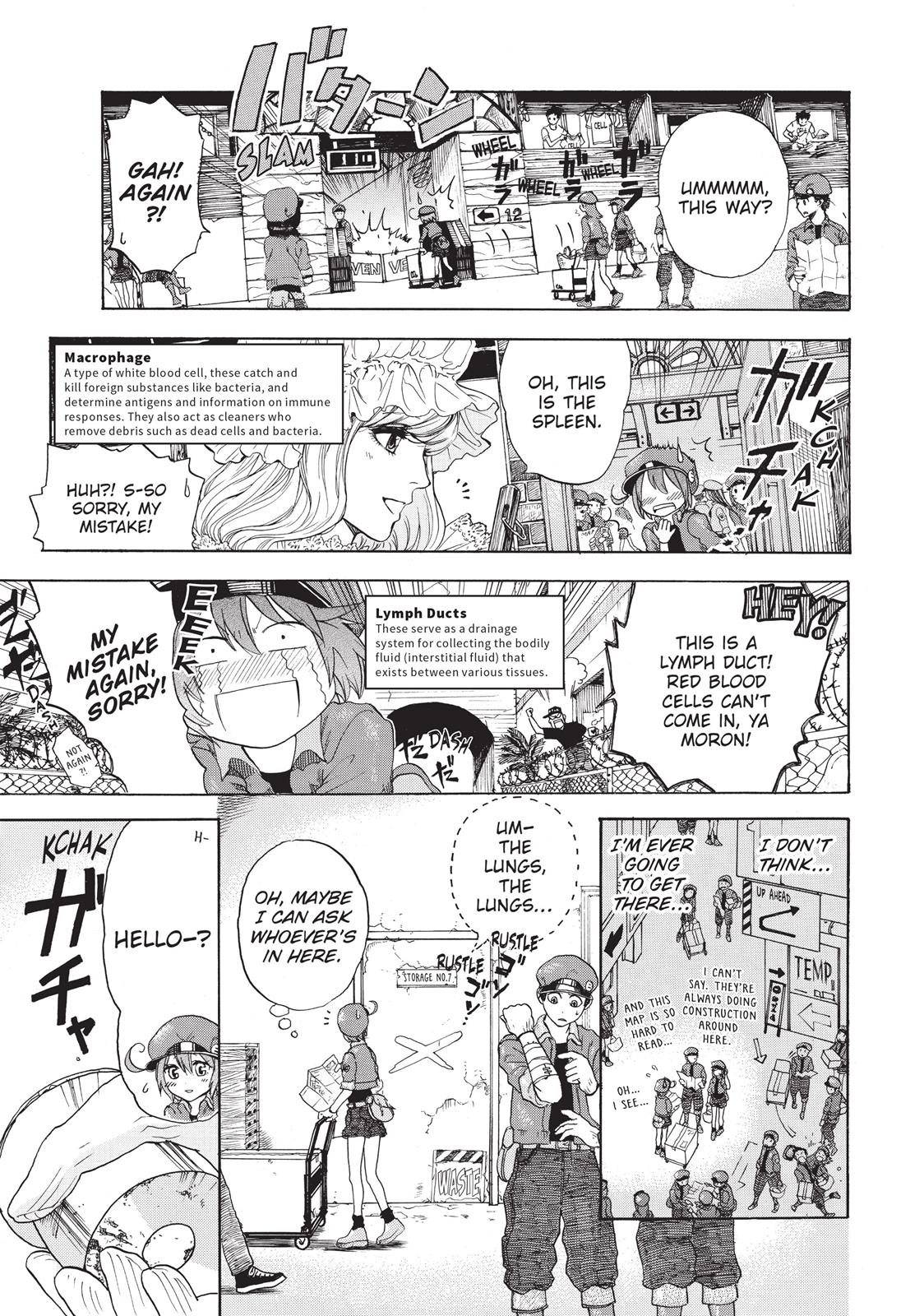Read Cells at Work! EN Manga Online