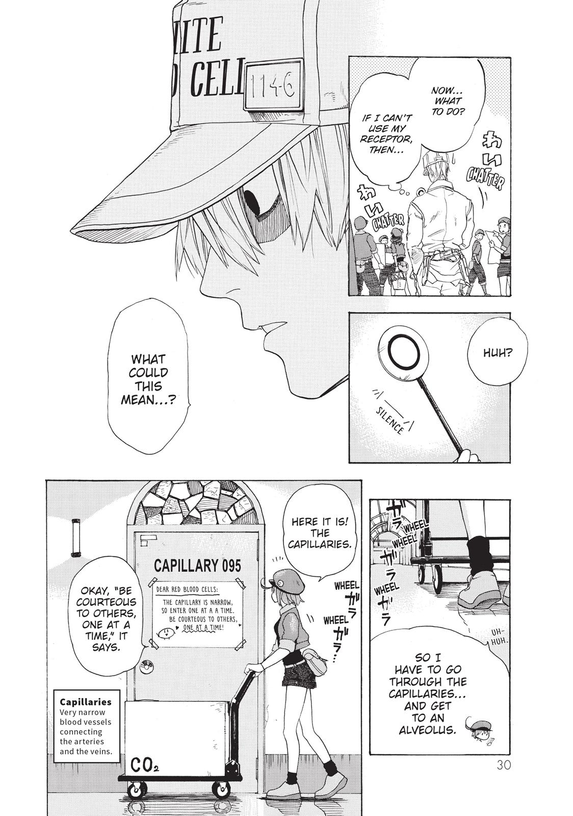Read Cells at Work! EN Manga Online
