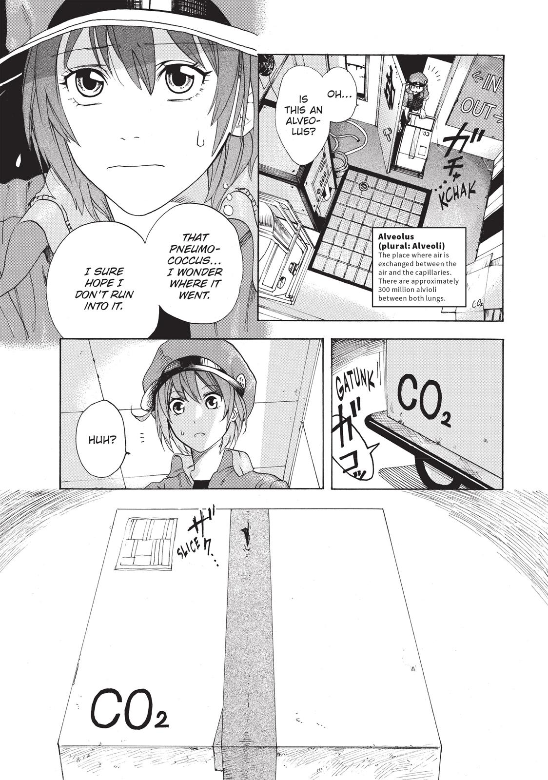 Read Cells at Work! EN Manga Online
