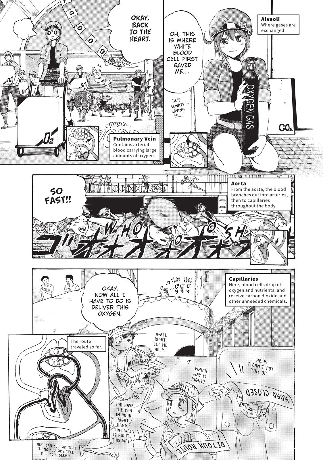 Read Cells at Work! EN Manga Online