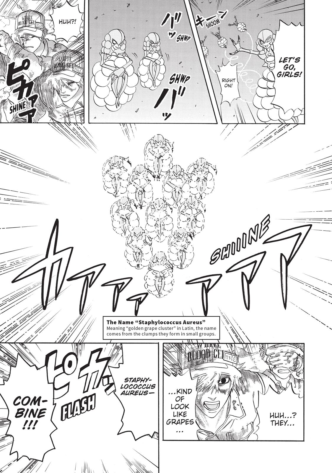 Read Cells at Work! EN Manga Online