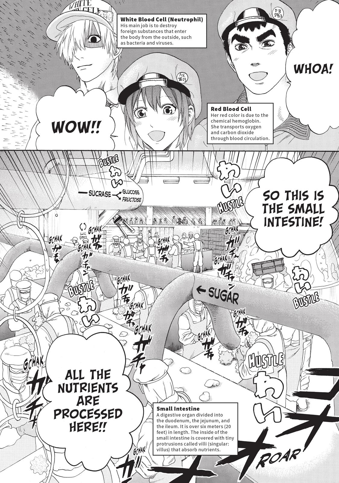 Read Cells at Work! EN Manga Online