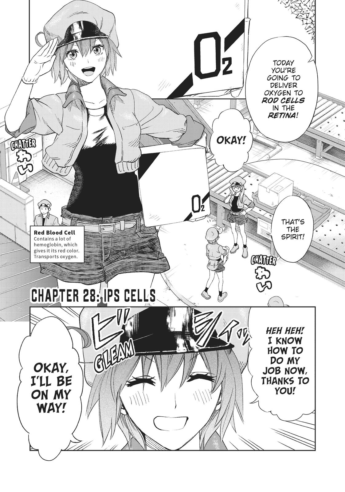 Read Cells at Work! EN Manga Online