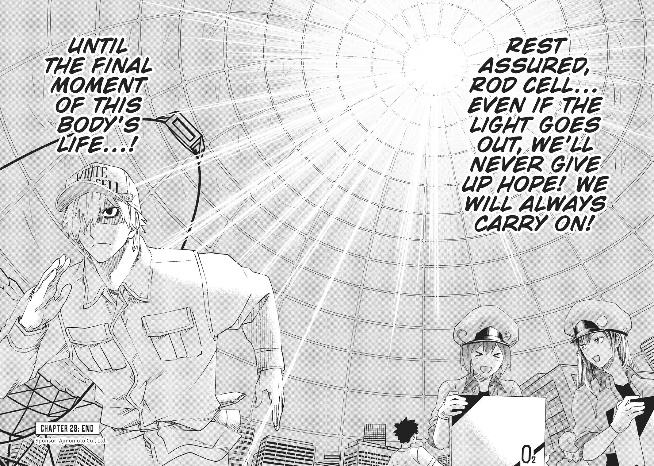 Read Cells at Work! EN Manga Online