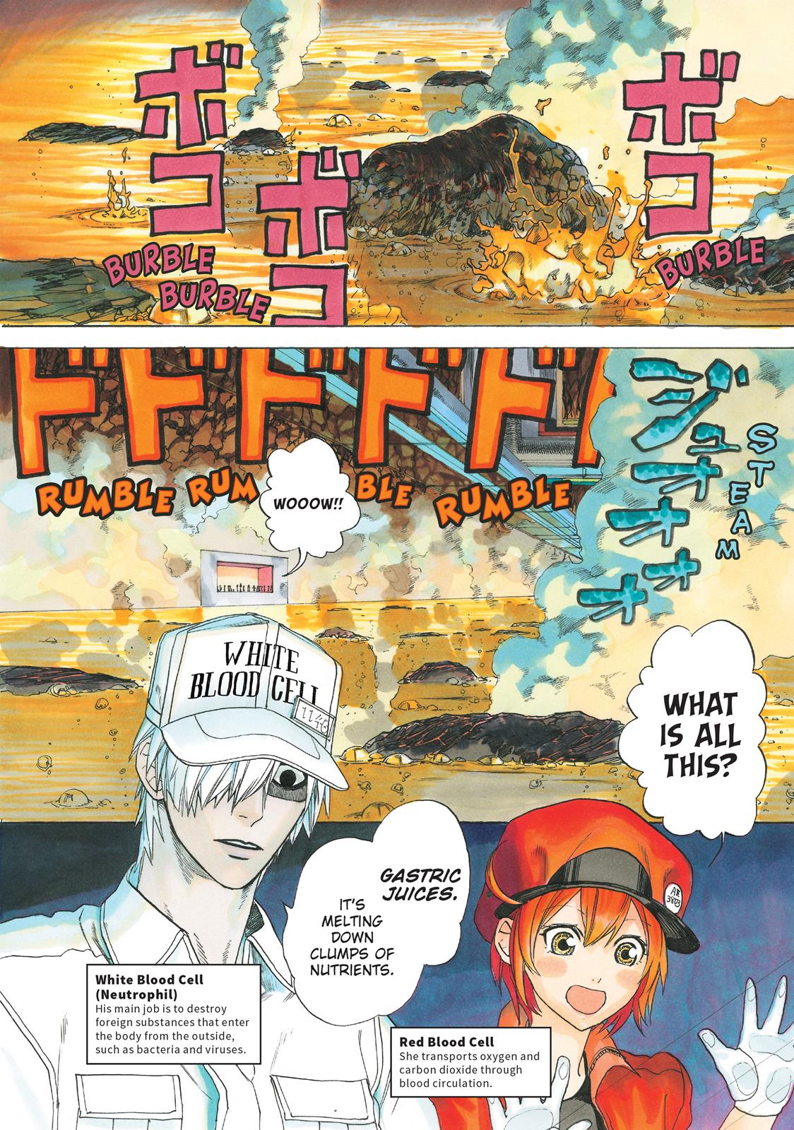 Read Cells at Work! EN Manga Online