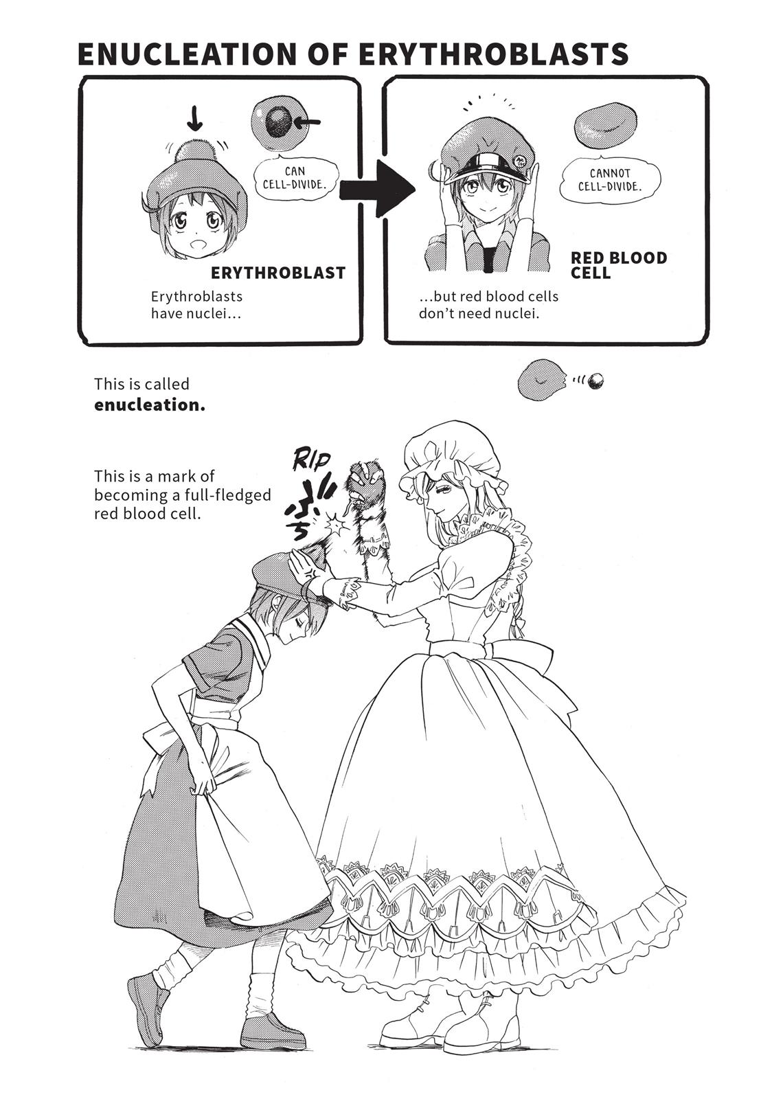 Read Cells at Work! EN Manga Online