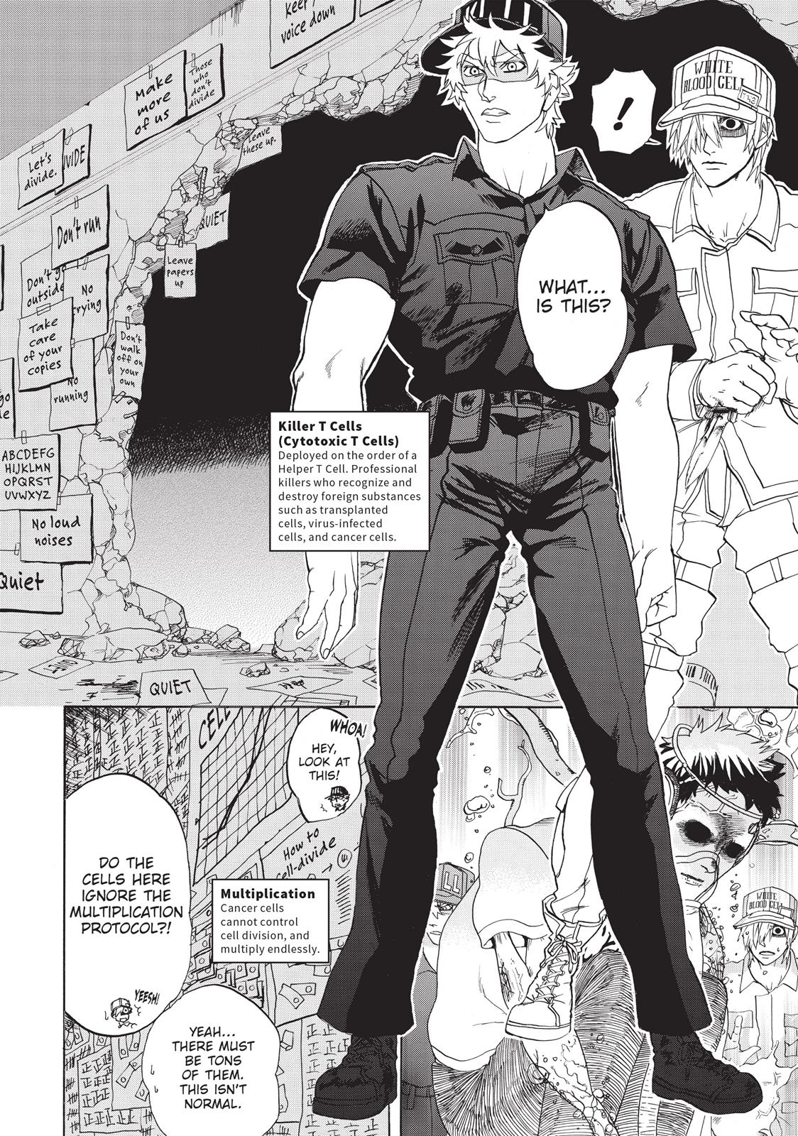 Read Cells at Work! EN Manga Online