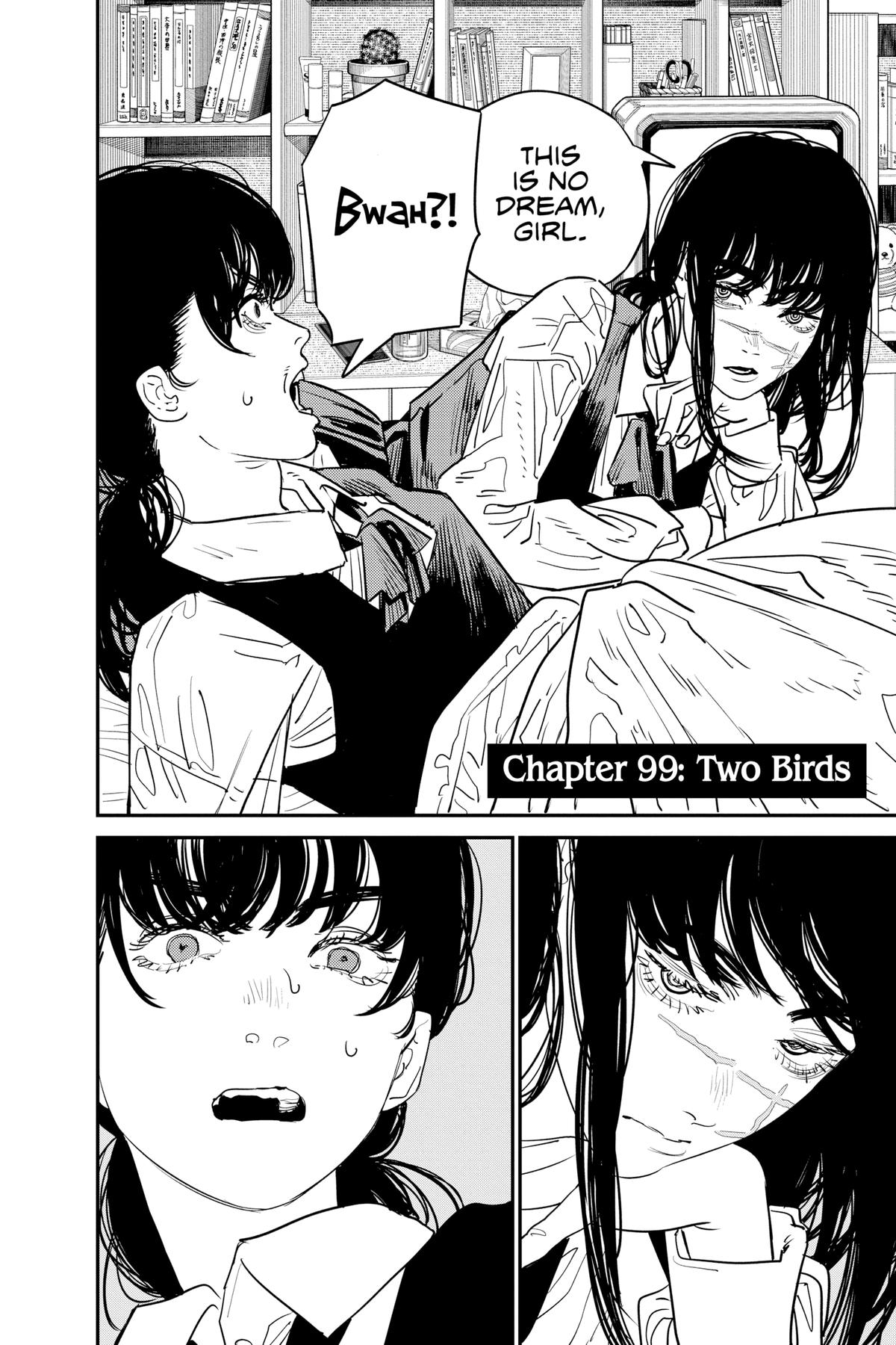 Read Chainsaw Man EN Manga Online