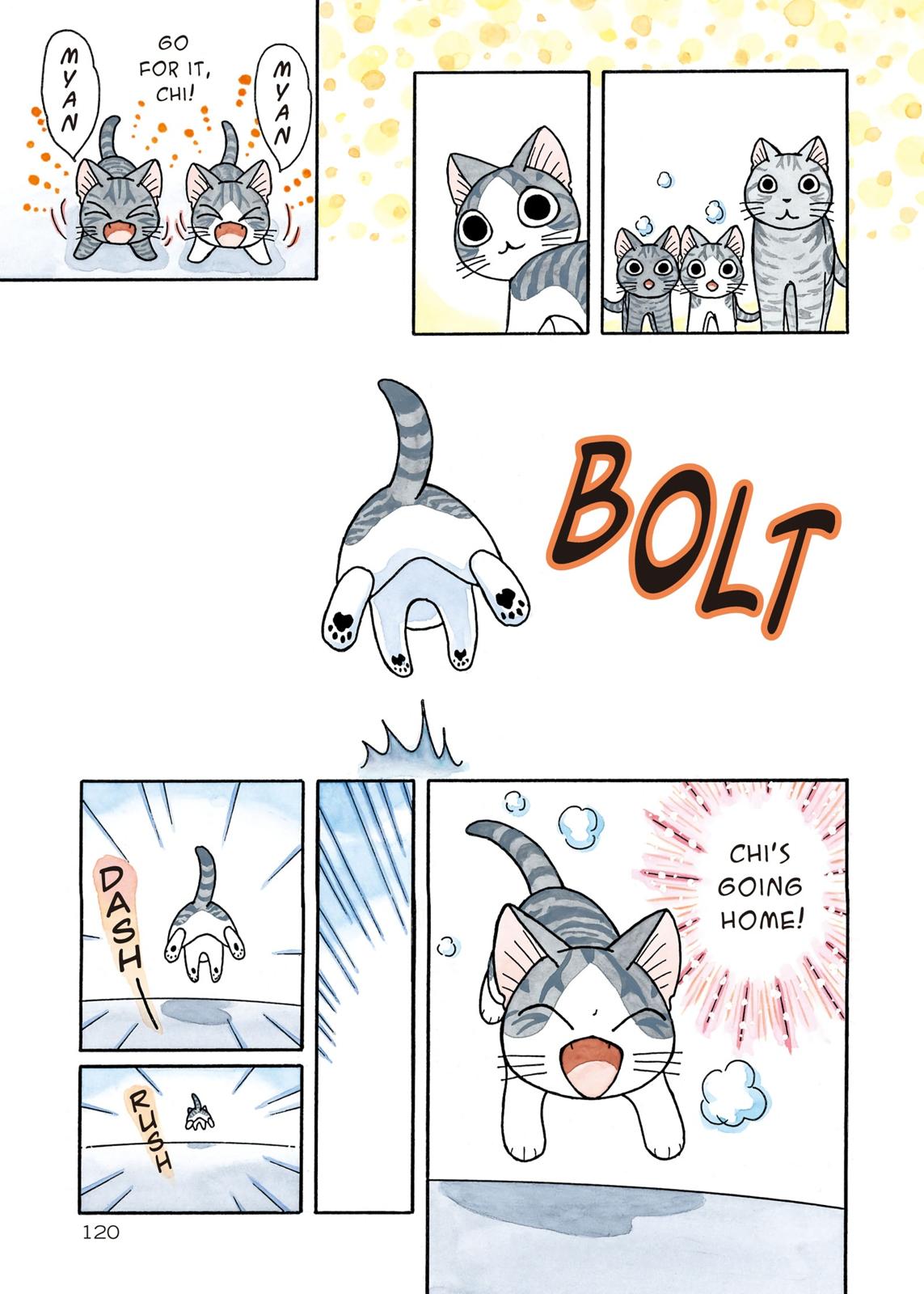Read Chi's Sweet Home EN Manga Online