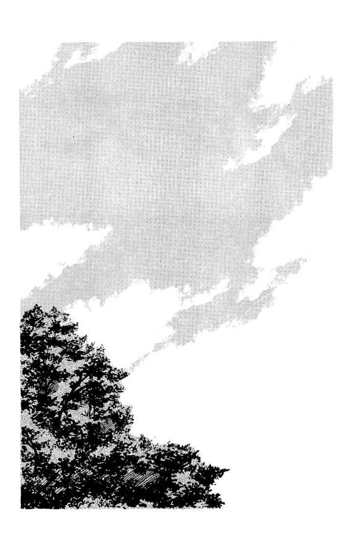 Read Crows EN Manga Online