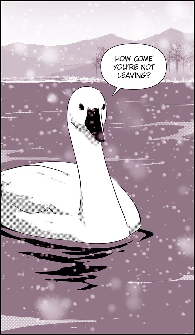 Read Daily Jojo EN Manga Online