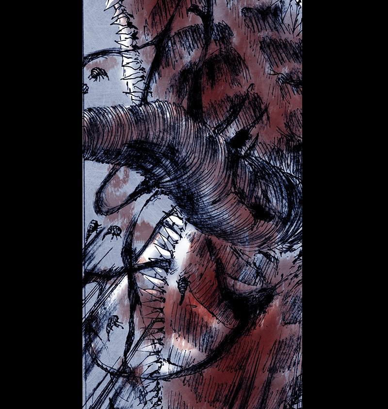 Read Distant Sky EN Manga Online