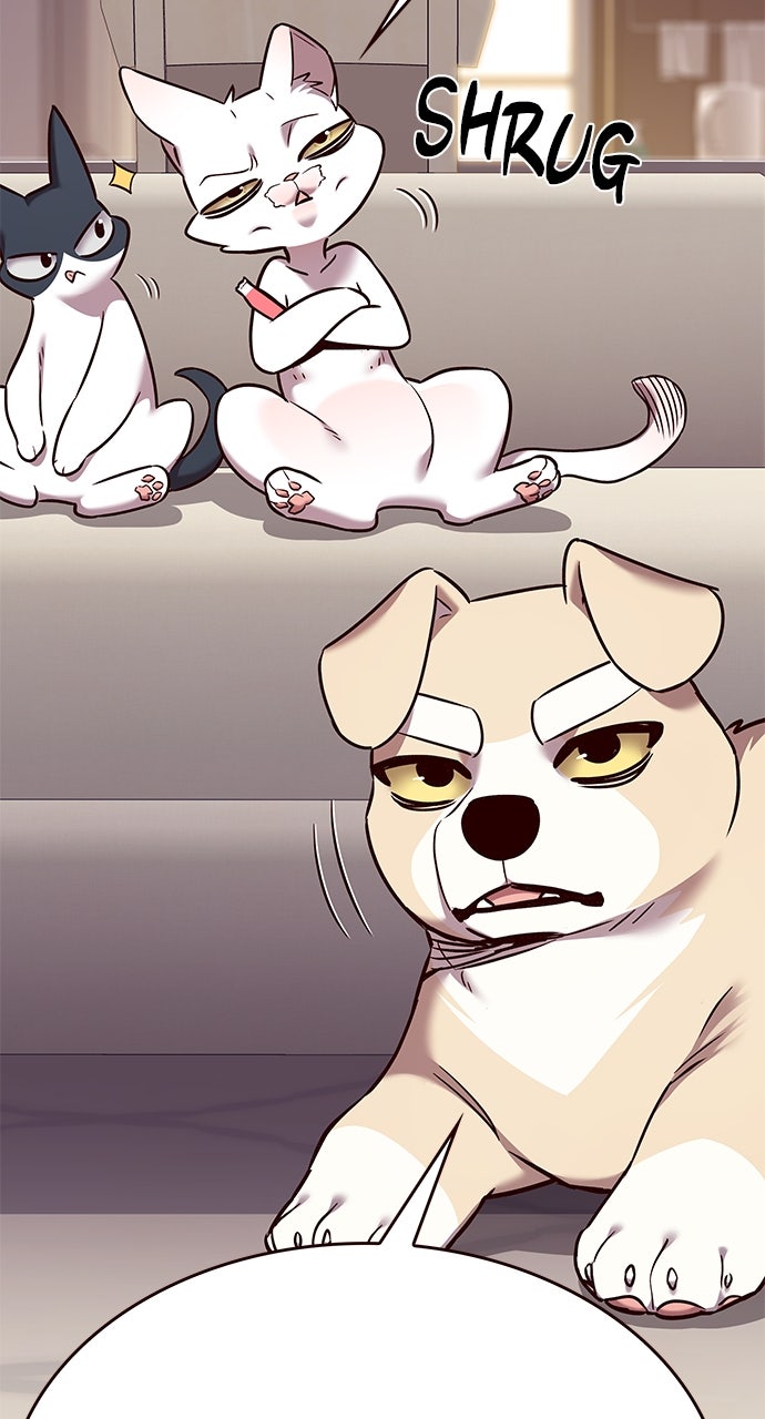 Read Eleceed EN Manga Online