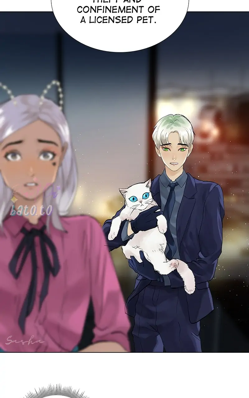 Read Freaking Romance EN Manga Online