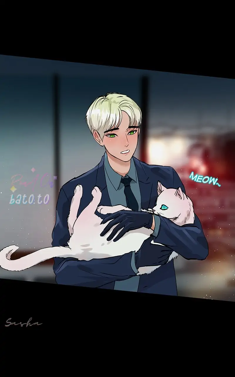 Read Freaking Romance EN Manga Online