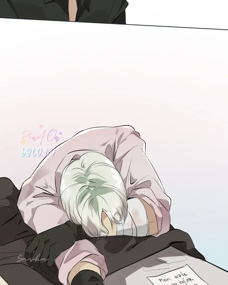 Read Freaking Romance EN Manga Online