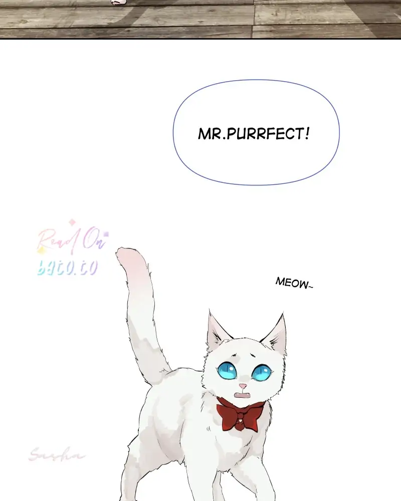 Read Freaking Romance EN Manga Online