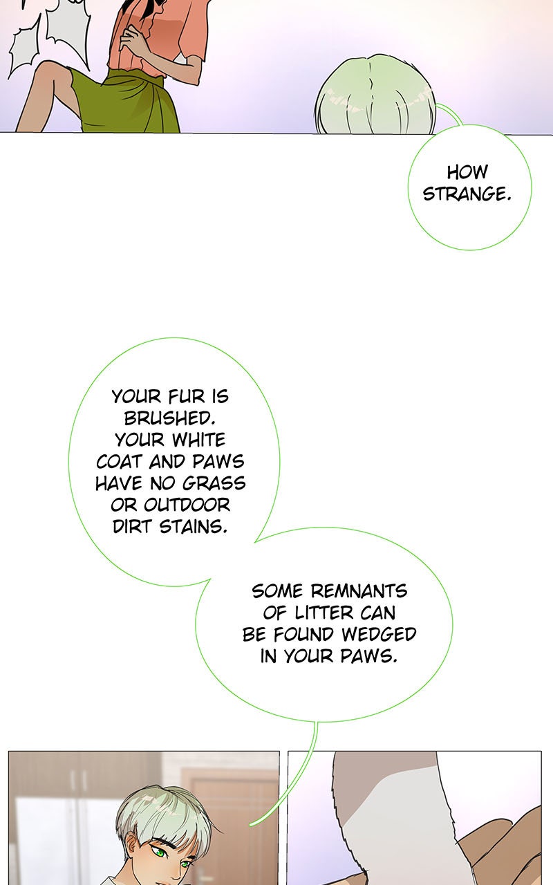 Read Freaking Romance EN Manga Online