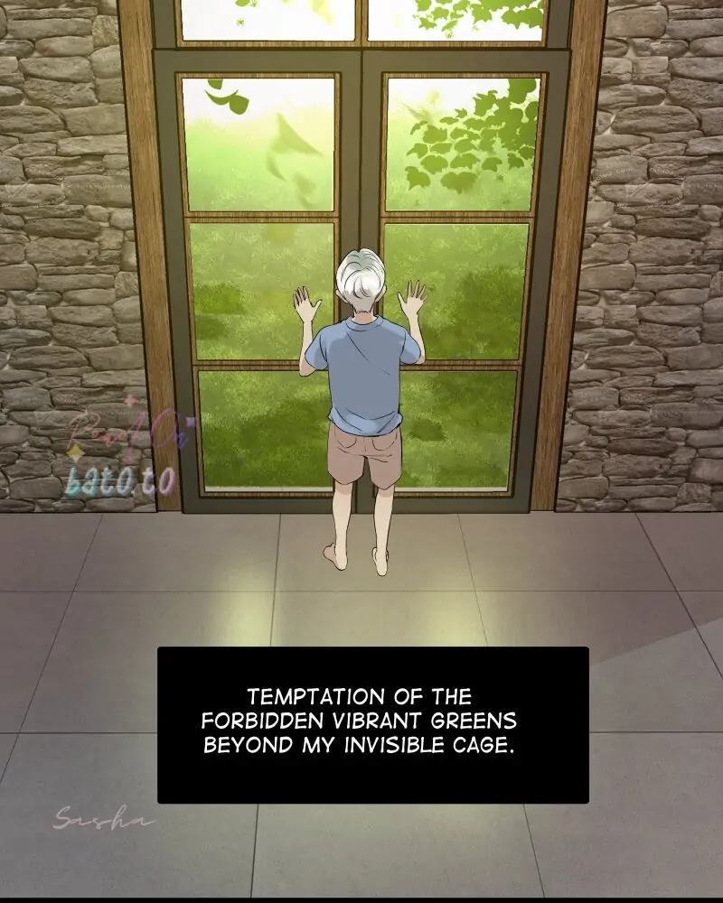 Read Freaking Romance EN Manga Online