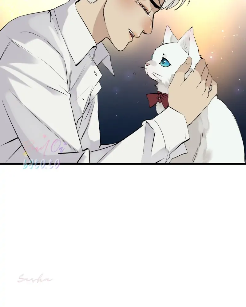 Read Freaking Romance EN Manga Online