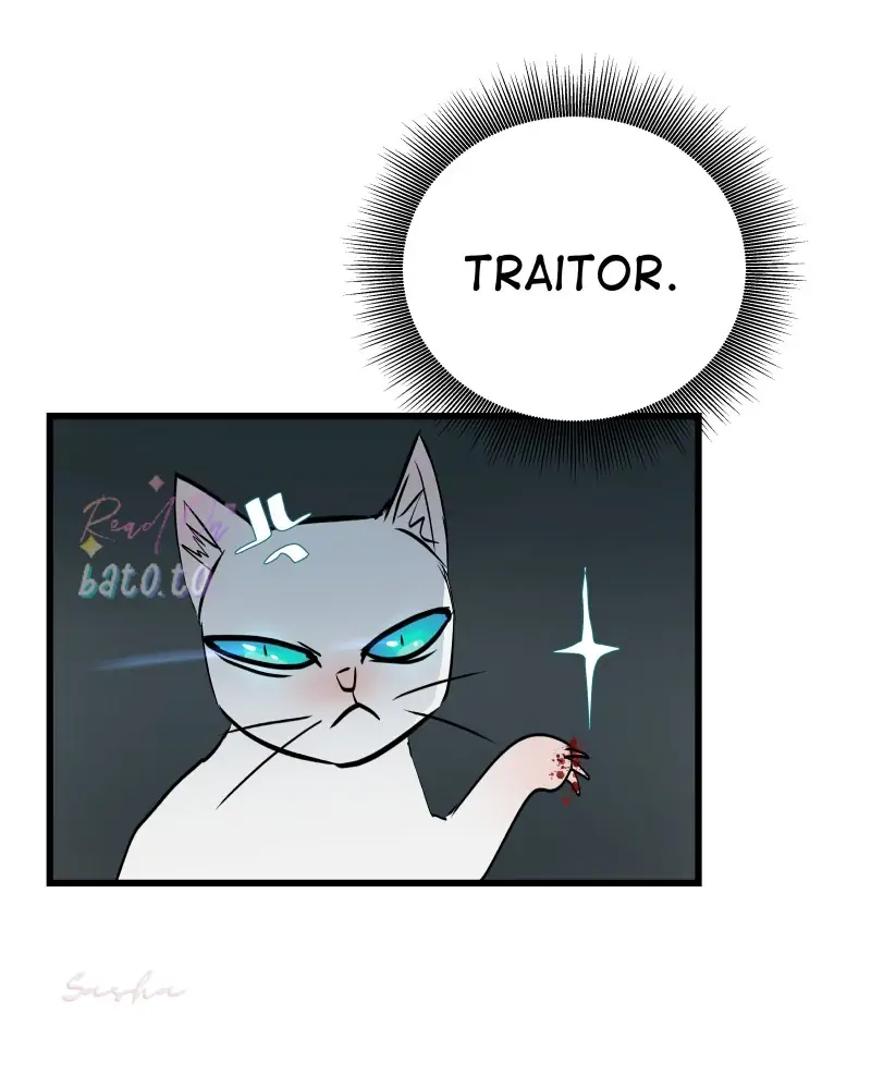 Read Freaking Romance EN Manga Online