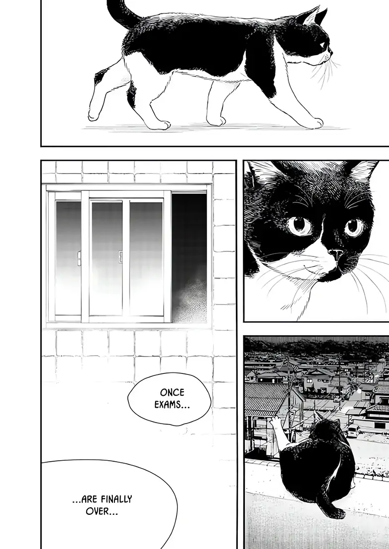 Read Insomniacs After School EN Manga Online