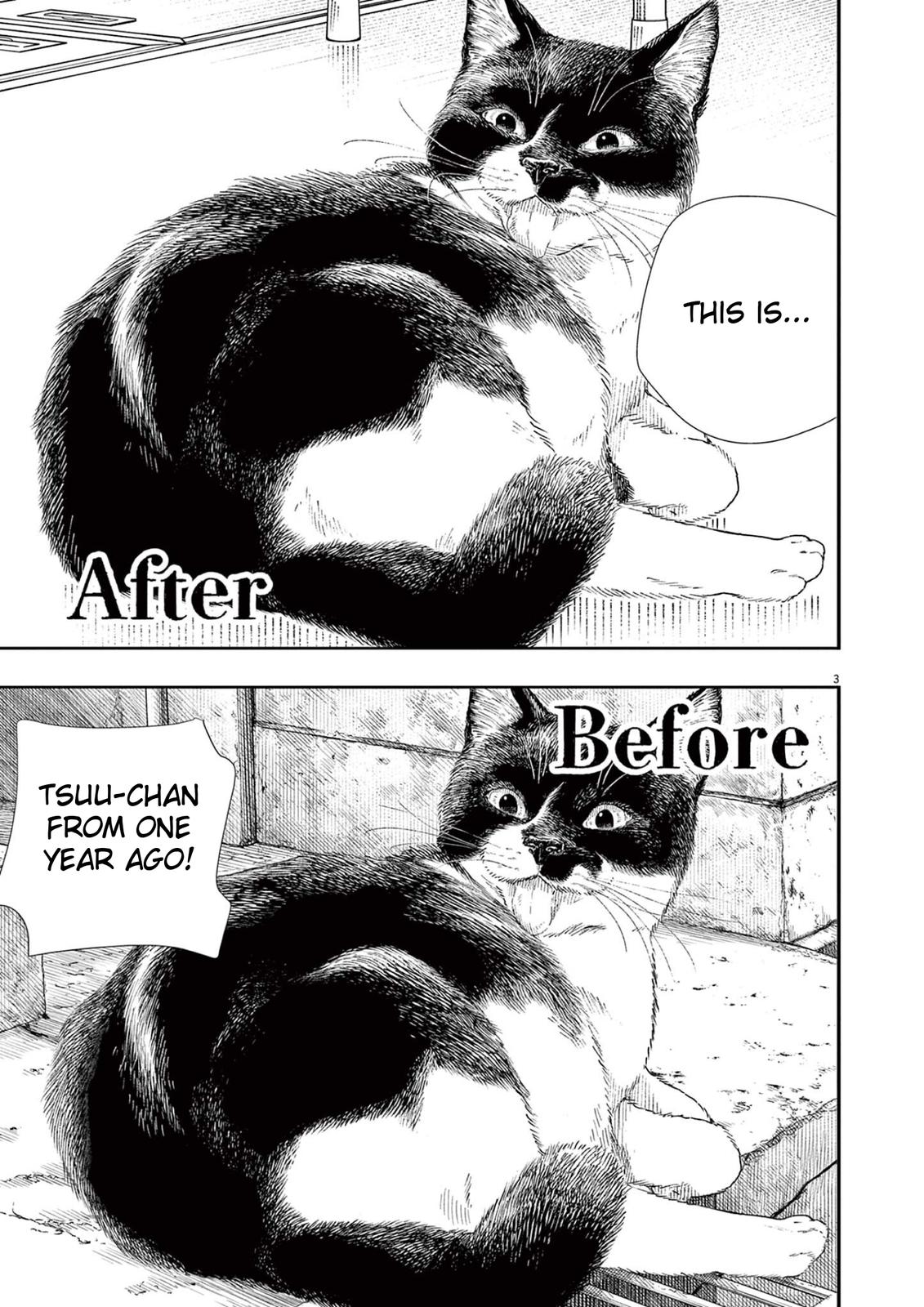 Read Insomniacs After School EN Manga Online