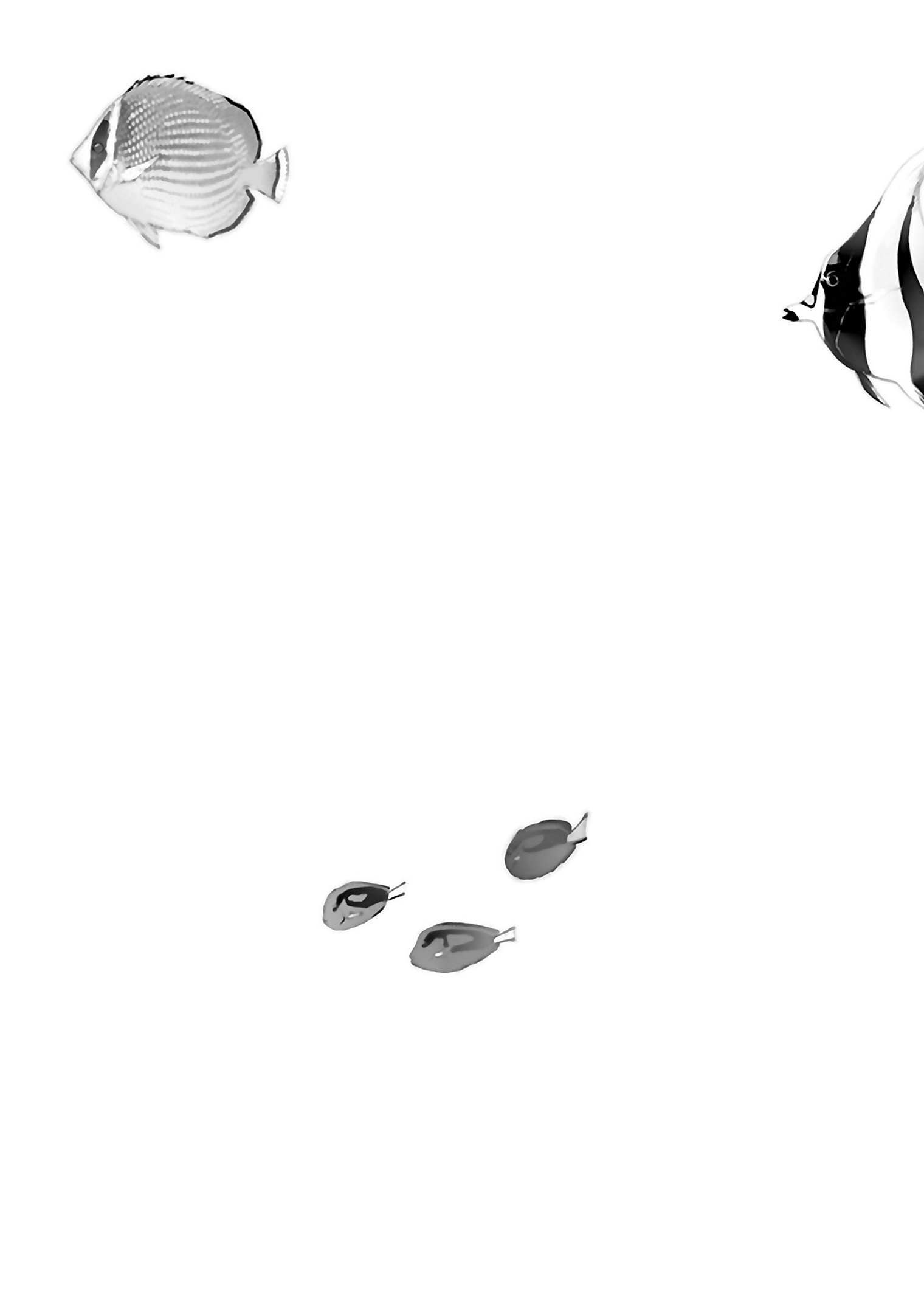 Read Josee, the Tiger and the Fish EN Manga Online