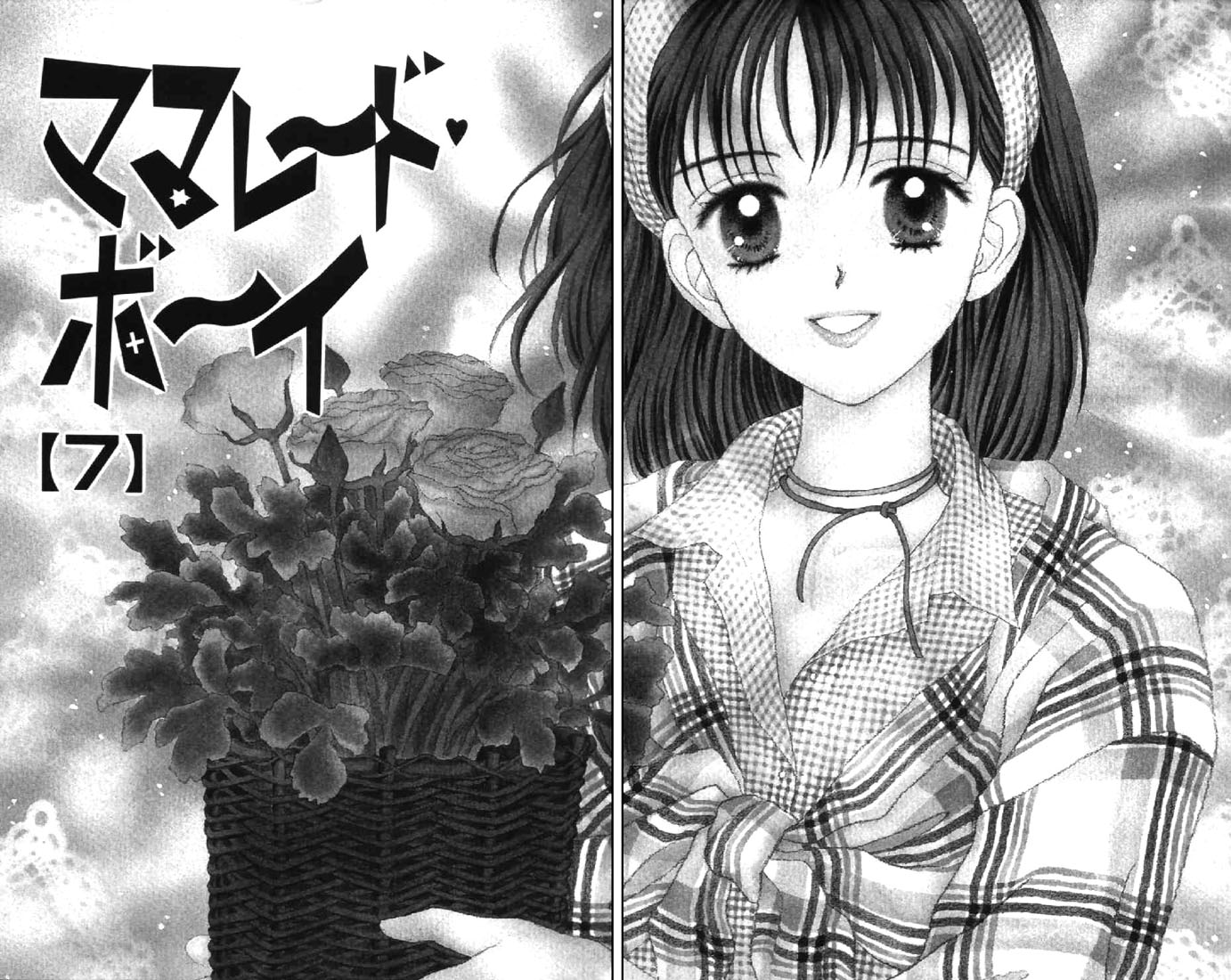Read Marmalade Boy EN Manga Online