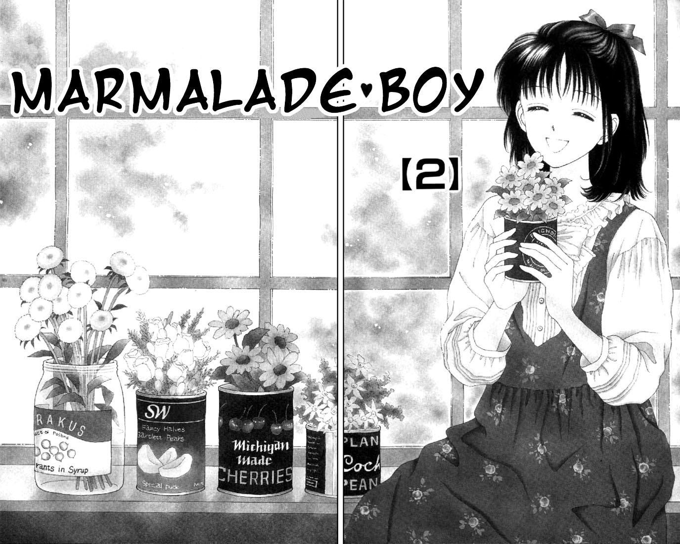 Read Marmalade Boy EN Manga Online