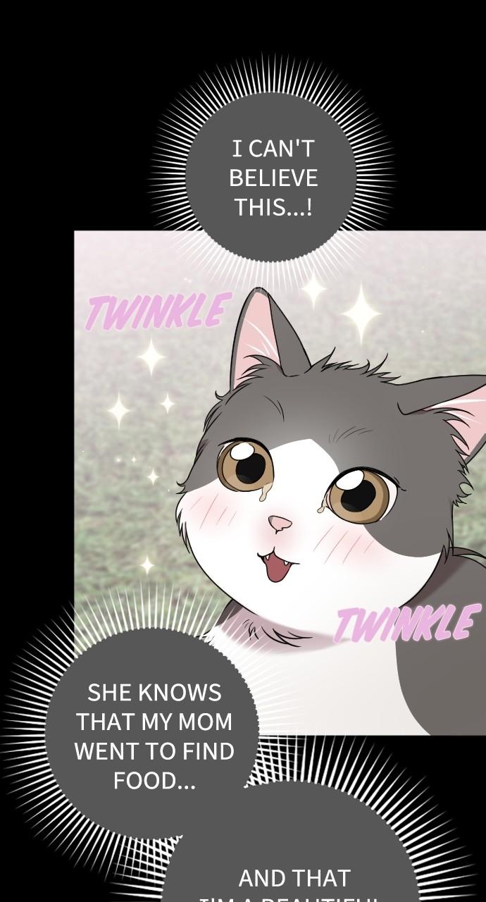 Read Marry My Husband EN Manga Online