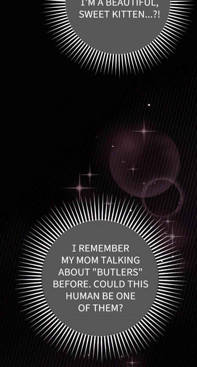 Read Marry My Husband EN Manga Online