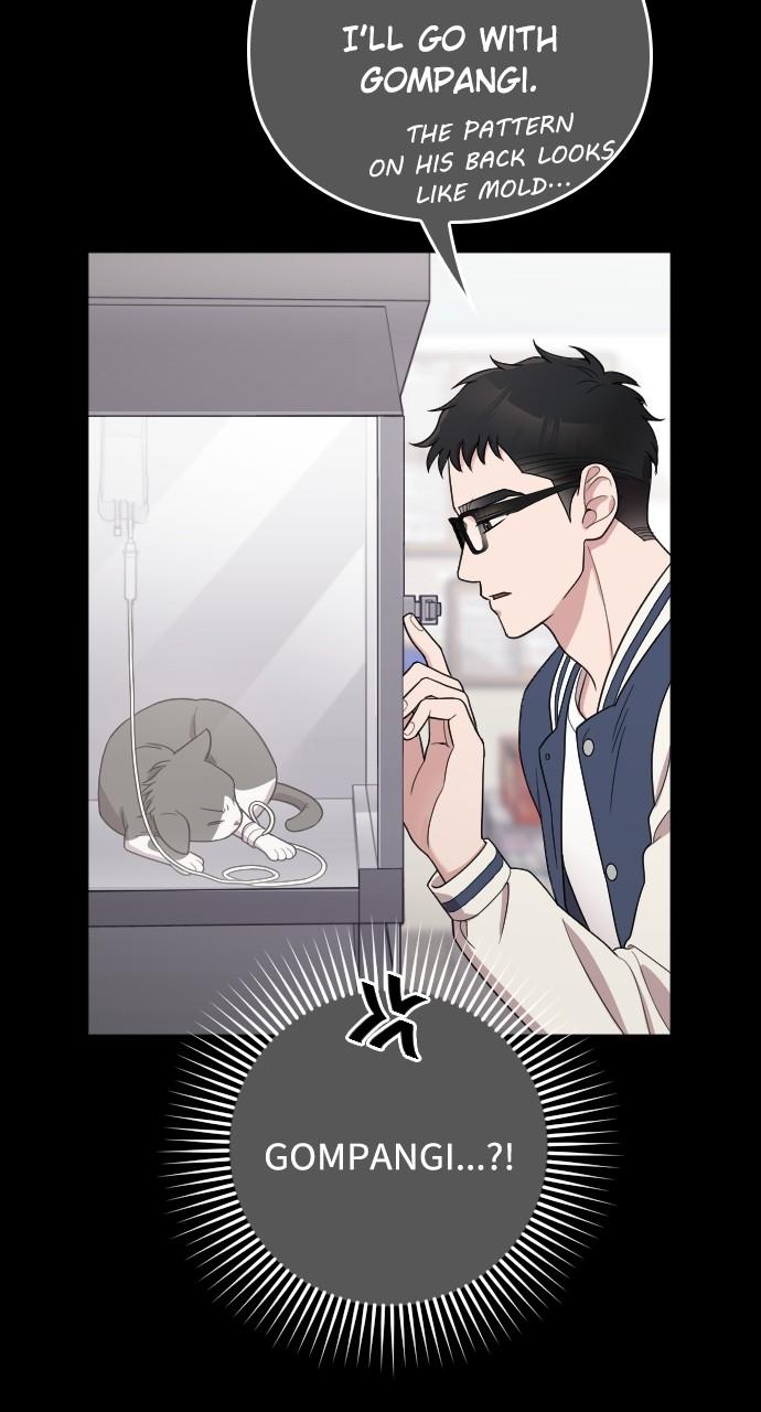 Read Marry My Husband EN Manga Online