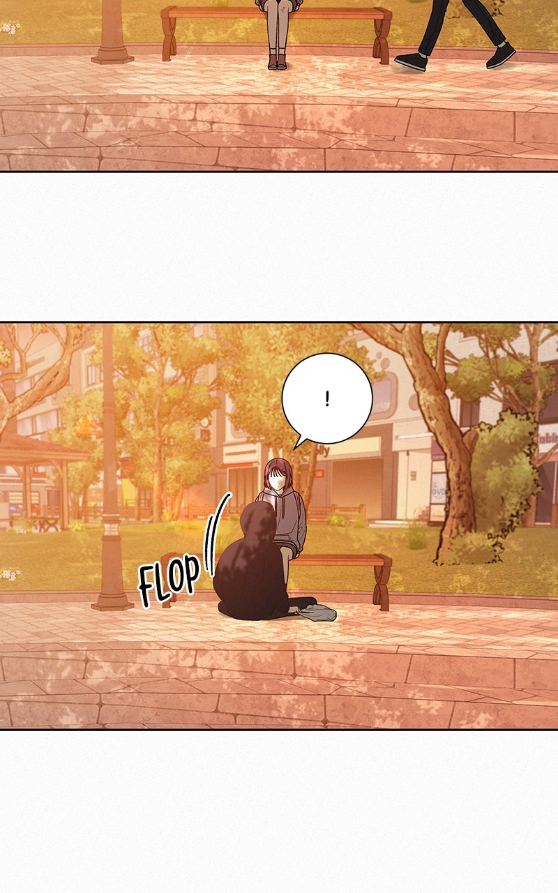 Read Operation True Love EN Manga Online