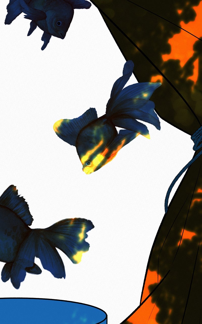 Read Operation True Love EN Manga Online