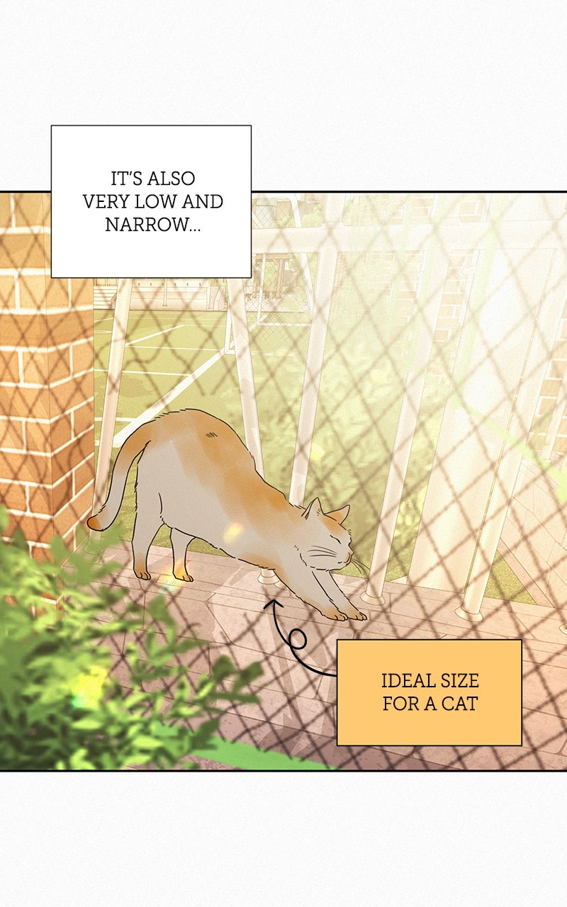 Read Operation True Love EN Manga Online